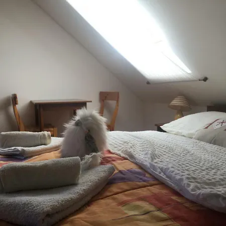 Gostisce Na Vasi Zinko Guest house