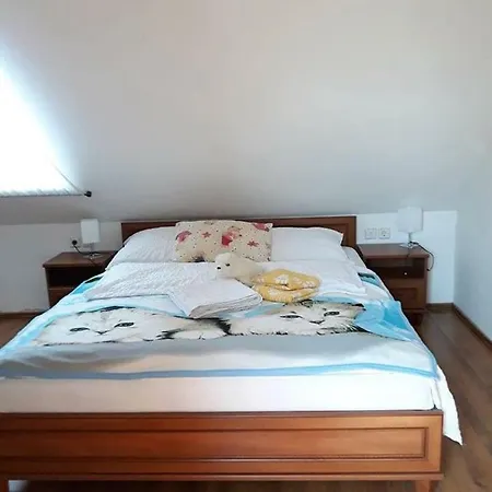 Guest house Gostisce Na Vasi Zinko *